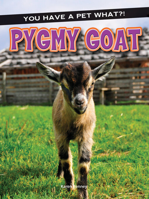 Title details for Pygmy Goat by Karen Kenney - Available